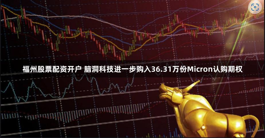 福州股票配资开户 脑洞科技进一步购入36.31万份Micron认购期权