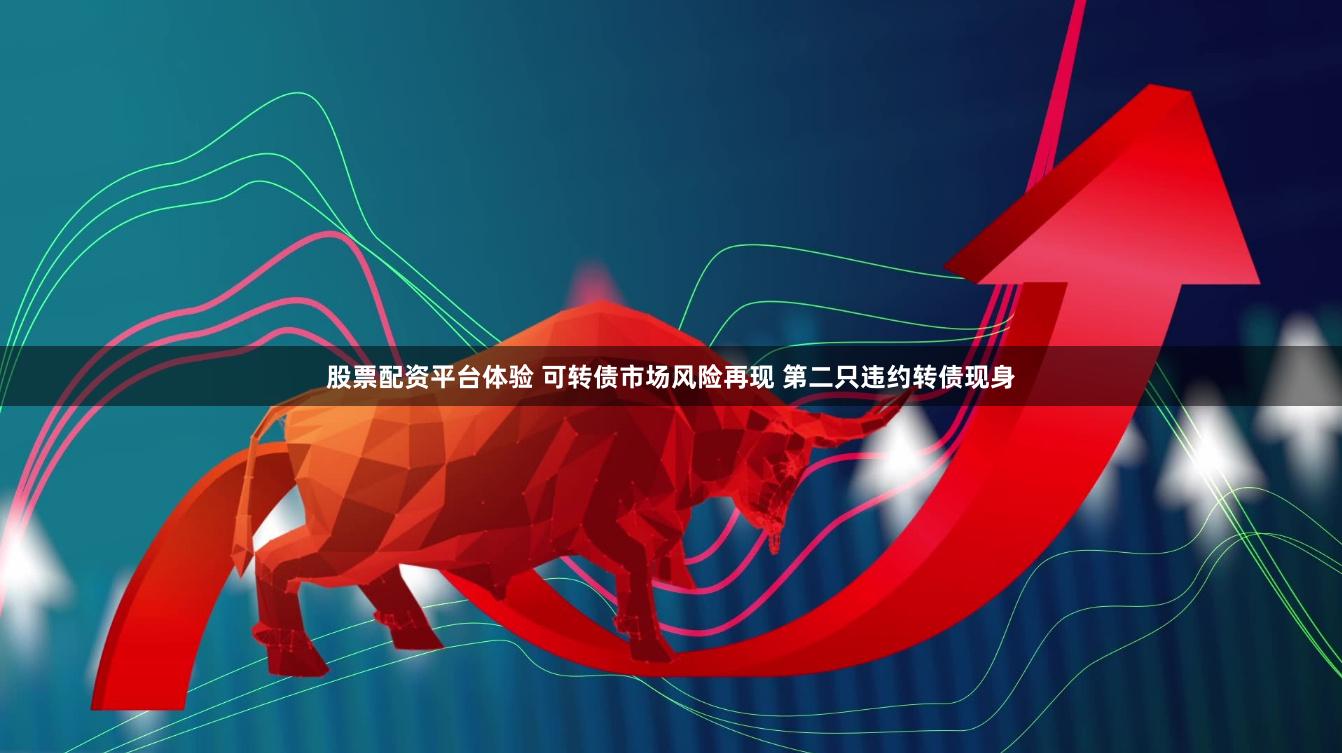 股票配资平台体验 可转债市场风险再现 第二只违约转债现身